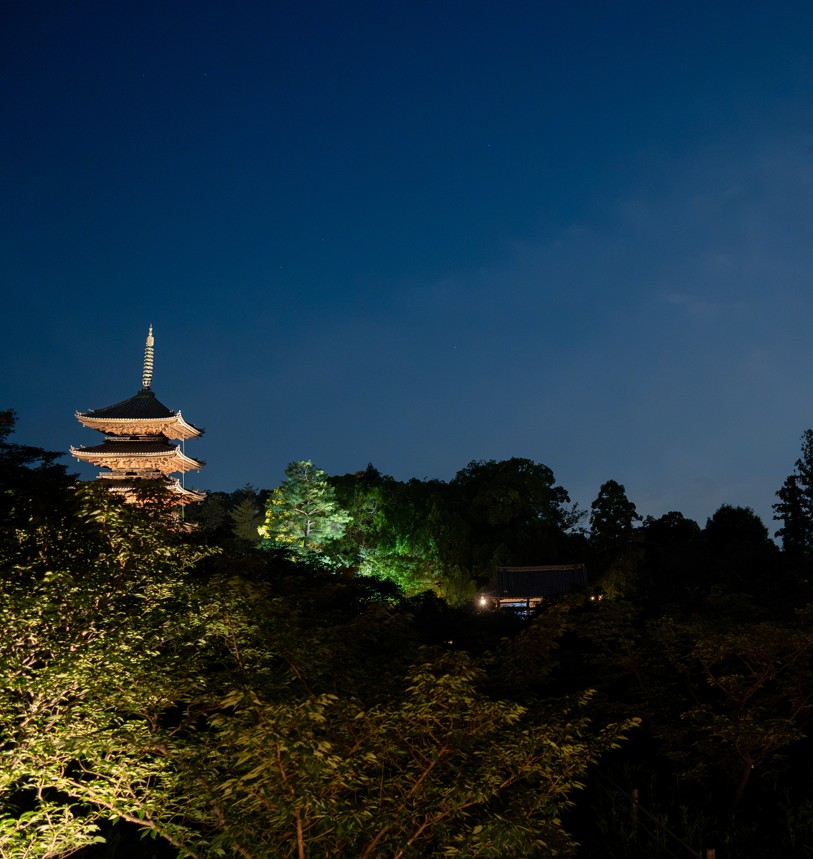 仁和寺 観月祭 名月×雲海ライトアップ